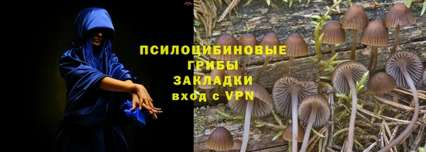 наркотики Алексин